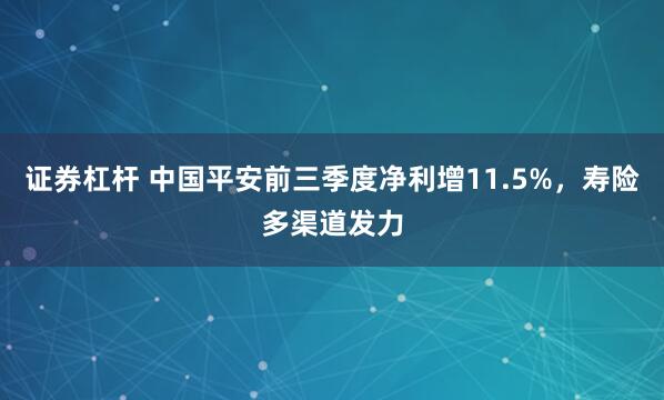 证券杠杆 中国平安前三季度净利增11.5%，寿险多渠道发力